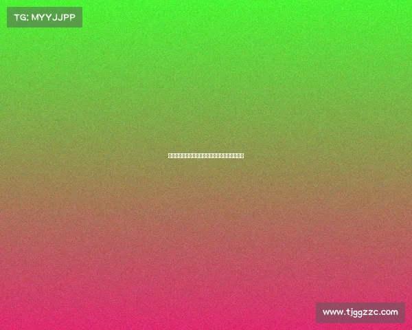 过去一个赛季出战次数最多的劳模阵容盘点与分析