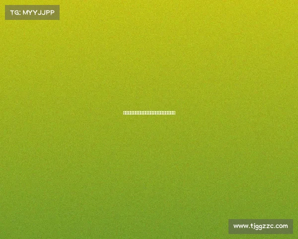 法甲球员在欧洲杯舞台上的精彩表现与潜力分析